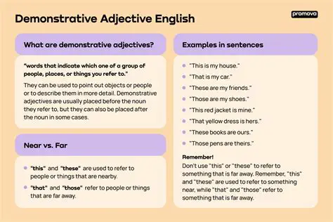 The Use of Demonstrative Adjectives in Chapter 6