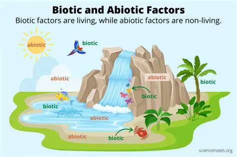 Understanding Abiotic and Biotic Factors in Biology