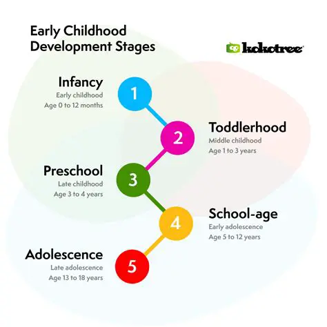 Understanding Developmental Periods