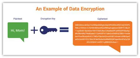 Understanding Encrypted Views and Stored Procedures
