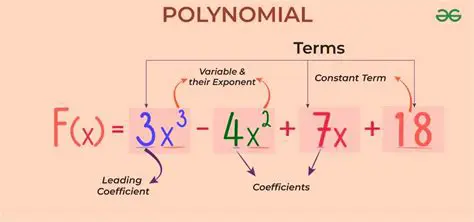 Understanding Polynomial Descriptions