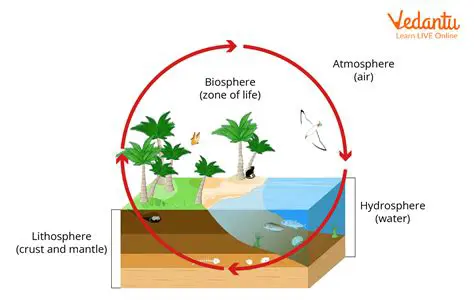 Understanding the Abundance of Resources in High Elevation Rivers