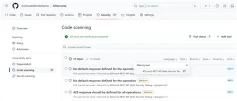 Understanding the Code Scanning Alert