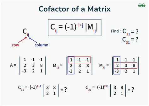 Understanding the Coefficient Matrix and Determinant