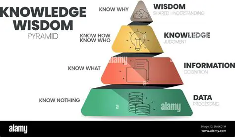 Understanding the Given Information