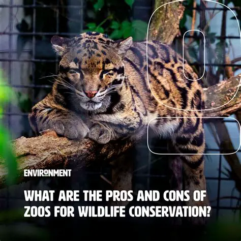 Understanding the Impact of Environment on Animals in Zoos