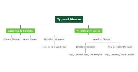 Understanding the Types of Diseases