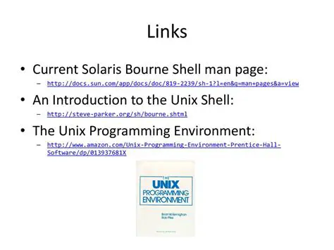 Unix Scripting Environment