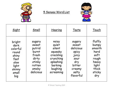 Using Sengon in Descriptive Sentences