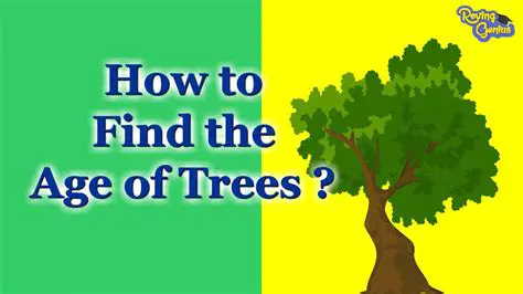 Using the Table to Find the Age of a Tree