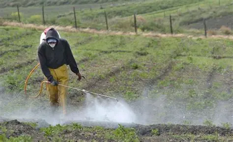 Uso excessivo de fertilizantes
