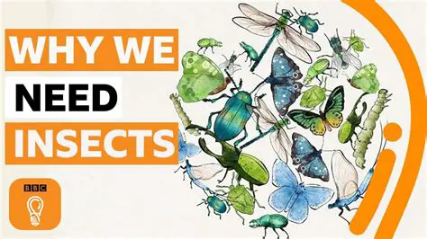 Why Insects Are Classified as Eukaryota